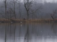 01-13-13-Rt 4-5207