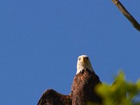 05-27-13-Nanjemoy-0234
