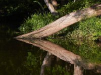 06-15-13-Rocky Gorge-0803