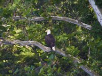 06-22-13-Piscataway-1224