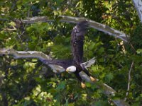 06-22-13-Piscataway-1251