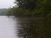 06-23-13-Mattawoman