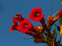 07-06-13-Mattawoman-1736