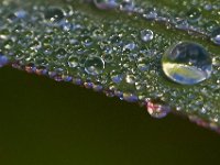 07-14-13-Nanjemoy-2415