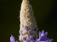 07-14-13-Nanjemoy-2596