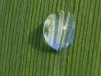 08-13-13-NC4411
