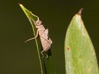 08-24-13-Nanjemoy-5422