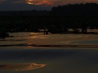 09-01-13-Mattawoman-6096