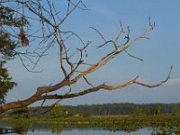 09-01-13-Mattawoman-6199