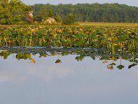 09-01-13-Mattawoman-6208