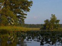 09-01-13-Mattawoman-6211