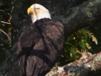 09-01-13-Mattawoman-6381