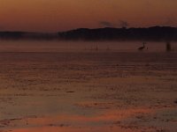 09-07-13-Nanjemoy-6759