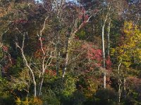 10-04-13-Tuckahoe-8809