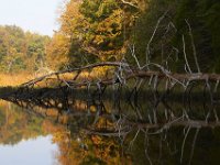 10-05-13-Nanjemoy-9205