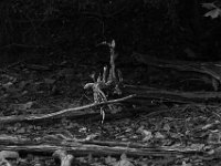 10-16-13-Triadelphia-0223