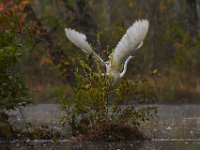 10-19-13-Piscataway-0530