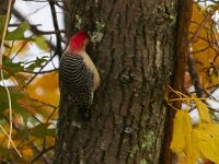 10-19-13-Piscataway-0578