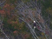 10-19-13-Piscataway-0595