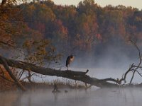 10-26-13-Nanjemoy-1044