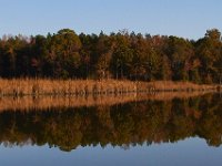 10-26-13-Nanjemoy-1157