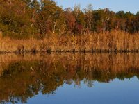 10-26-13-Nanjemoy-1163
