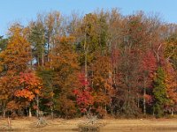 11-02-13-Rocky Gorge-2084