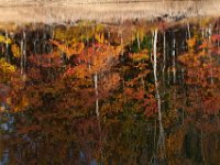 11-02-13-Rocky Gorge-2099