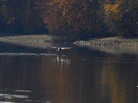 11-02-13-Rocky Gorge-2157
