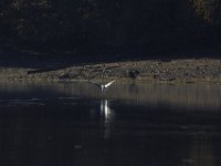 11-02-13-Rocky Gorge-2159