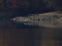 11-02-13-Rocky Gorge-2163