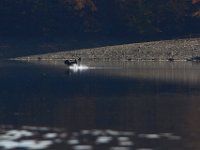 11-02-13-Rocky Gorge-2167