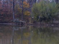 11-16-13-Mattawoman-2354