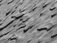 2014
