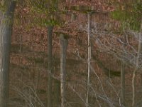 04-19-14-Rocky Gorge-2997