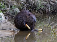 05-03-14-Triadelphia-West-3268