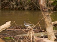 05-03-14-Triadelphia-West-3320