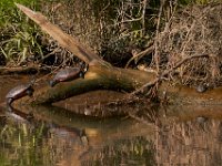 05-11-14-Rt 4-Hills Bridge-3554