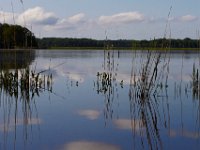 06-01-14-Nanjemoy-4688