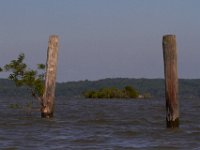 06-14-14-Mallows Bay-5739