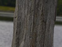 06-22-14-St Marys Lake-5931