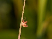 06-29-14-Nanjemoy