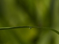 06-29-14-Nanjemoy-6663