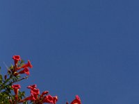 06-29-14-Nanjemoy-6691