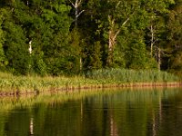 07-05-14-Nanjemoy-6756