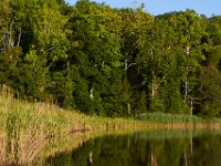 07-05-14-Nanjemoy-6801