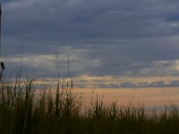 07-19-14-Wicomico Shores-7950