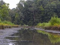 08-17-14-Rt 4-Hills Bridge