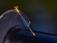 08-31-14-Mattawoman-0819