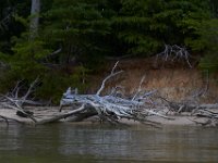07-19-14-Wicomico Shores-7856